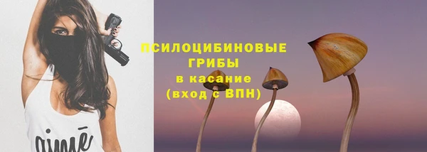 соль ск Абаза