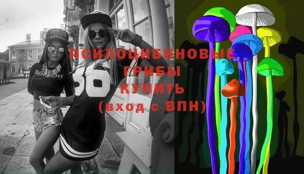 соль ск Абаза